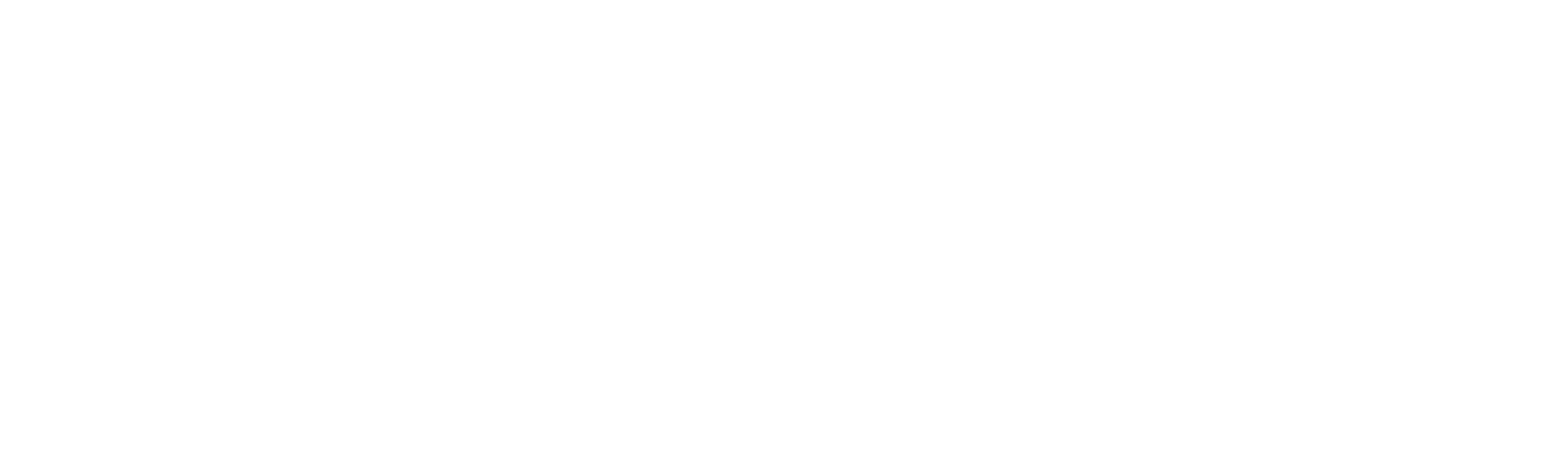 Major Developments - היזם